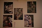 IMG_7238.JPG